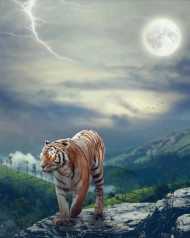 Tiger photo editing background