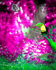 tigers hd cb editing background,hd cb editing background