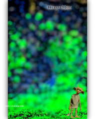 Tobby 1500  CB Background HD 2023 For Photo Editing