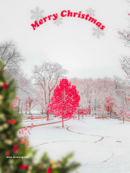 Top 50  Christmas Background Photo Editing HD Download