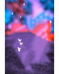 Top class editing background