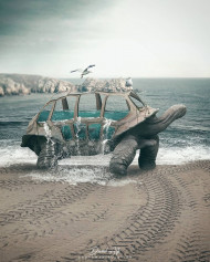 Tortoise skull  editing background