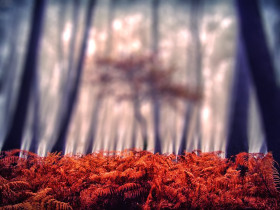 Totalpng Hd Cb editing background download