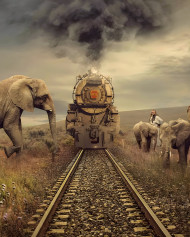 Train free cb background totalpnag