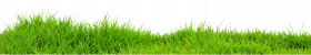 Transparent Background Grass Png , Png Download   Real Grass Png, Png Download (1)