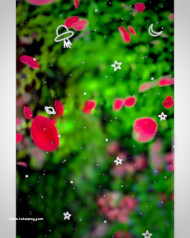 Tredning hd cb editing backgrounds