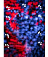 Trending cb editing background photoshop