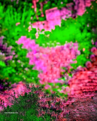 Trending cb editing background,Full hd cb editing background