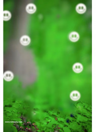 Trending Cb editing Bcakground