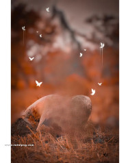 Trending hd cb editing background new