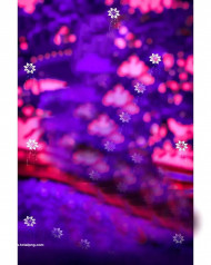 Trending hd cb editing background,Viral hd cb editing background