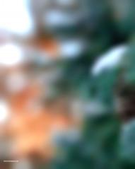 Tukeer editz editing background