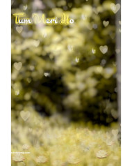 Tum mere ho hd cb editing background