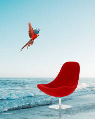 Vijay mahar editing background