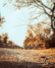 Viral Blur Background NSB Pictures Photo Editing   1080x1349