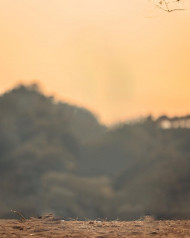 Viral Blur Background NSB Pictures Photo Editing   1080x1350