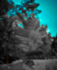 Viral cb editing background (1)