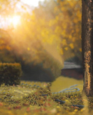 Viral cb editing background (1)