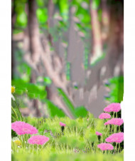 viral cb editing background