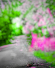 Viral hd cb editing background