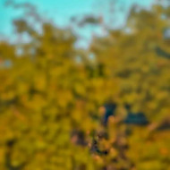 Viral hd color cb editing background