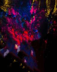 Viral holi cb editing background free