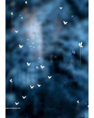 Viral instagram cb editing background