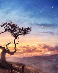 Visual background effects Download (8)