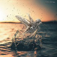 Visual editing background hd (12)