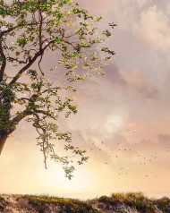 Visual wallpaper hd download (10)