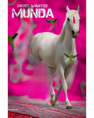 Wanted hd cb editing background