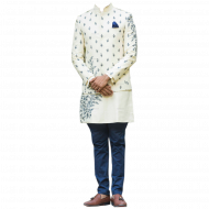 Wedding transparent suit png (1)
