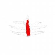 White and red tilak hd png