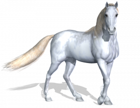 White horse PNG images for free download (2)
