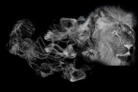 White smoke png (1)