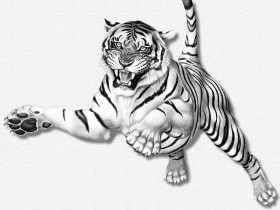 White tiger png png download