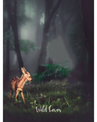 Wild Love Editing Background Download Free