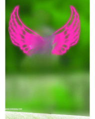 Wing blur cb background editing