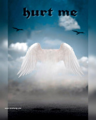 Wing cb background by totalpng