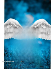 Wing cb background for editing