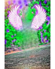 Wing cb editing background 4k