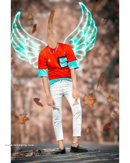 Wing face cut snapseed cb editing background