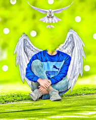 Wing hd cb background