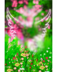 Wing hd cb editing background,Hd hd cb editing background