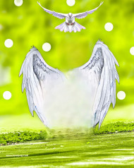 Wing hd cb editing background,Snapseed cb editing background