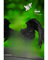 Wing Hd New CB Background