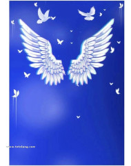 Wing New CB Background