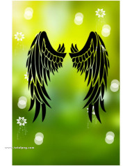 Wing photoshop cb editing background