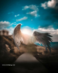 Wing photoshop cb editing background