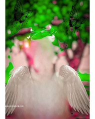 Wing totalpng cb editing background